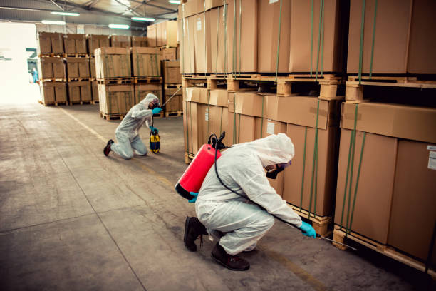 Professional Pest Control in Williamsburg, PA