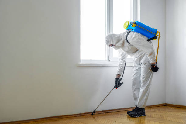 Best Pest Removal Services  in Williamsburg, PA