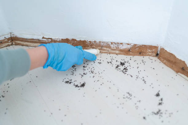 Best Affordable Pest Control Services  in Williamsburg, PA