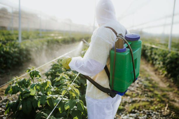 Best Pest Removal Services  in Williamsburg, PA